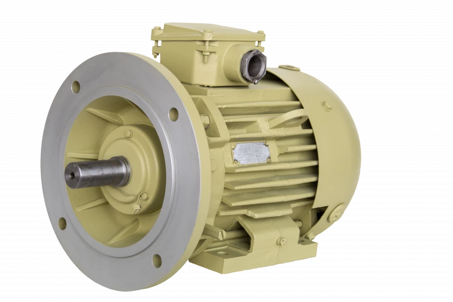 Three-Phase Induction Motors 2DMSh 132 Series