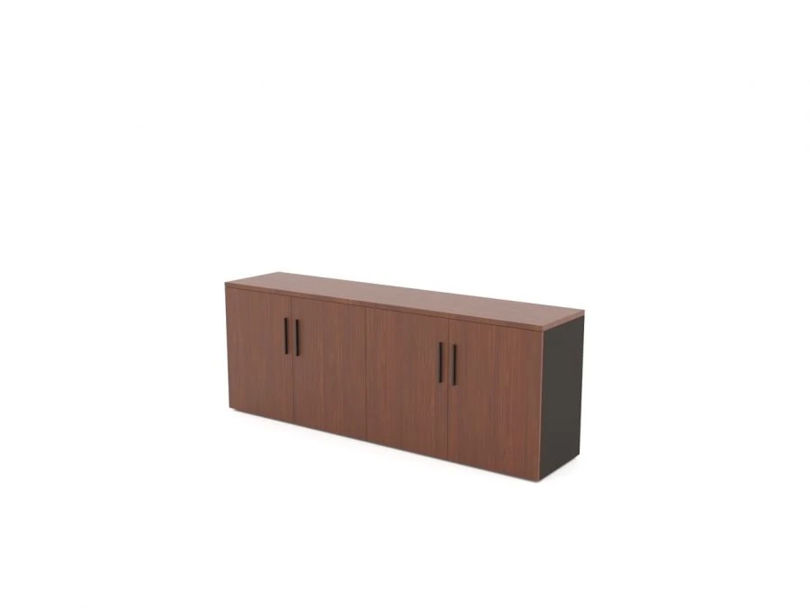 Low Synergy Cabinet with Swing Doors