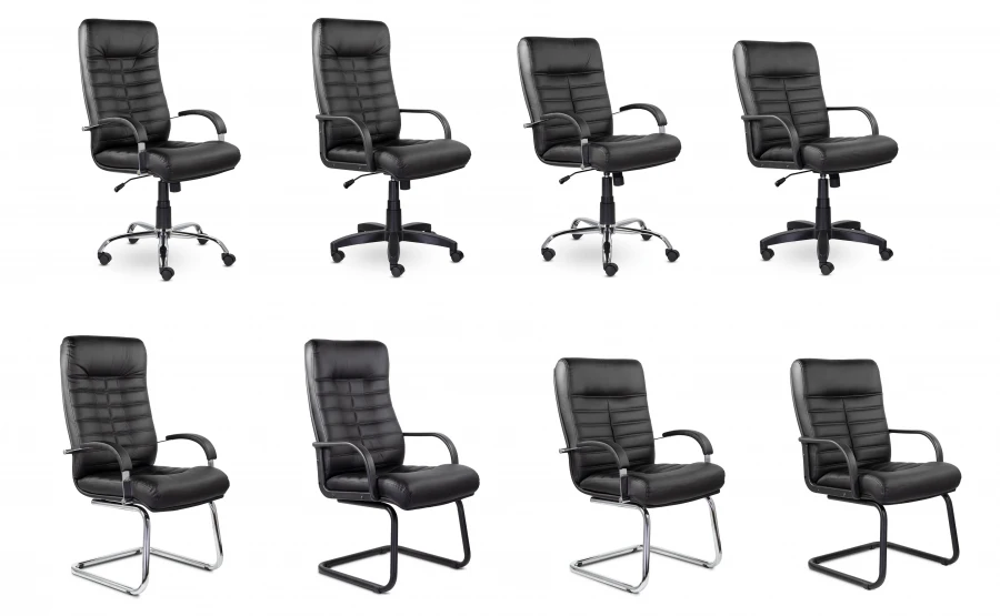 Orion Office Chair for Daily Comfort and Adaptability