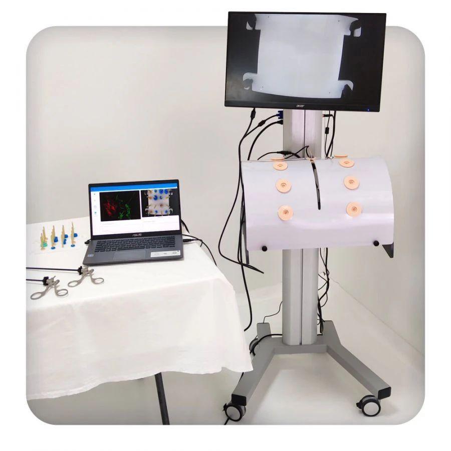 Endoscopic Surgical Skills Training Complex M1134