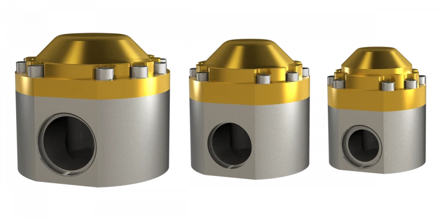 Cryogenic Check Valve DN10 PN50 for Welding