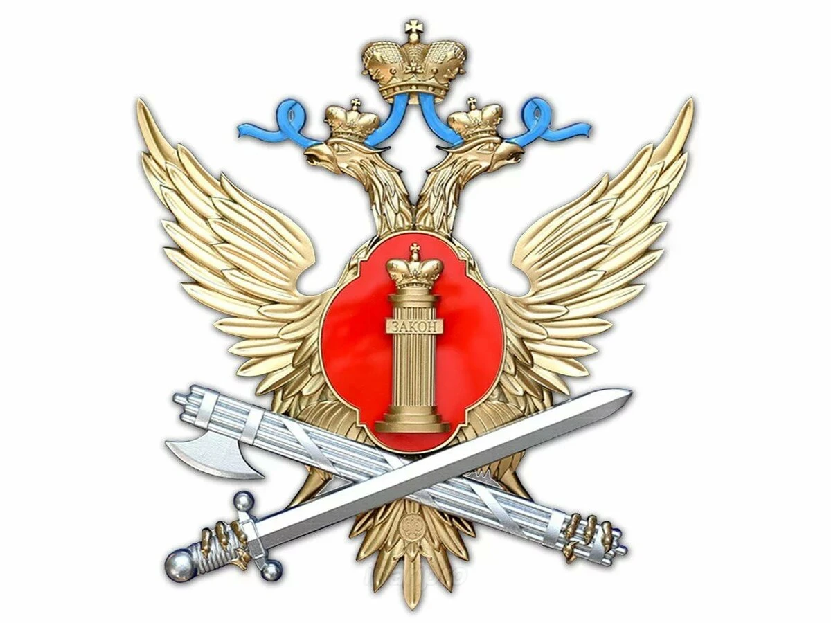 Crunchy and Juicy Sauerkraut - Fresh and Firm Quality