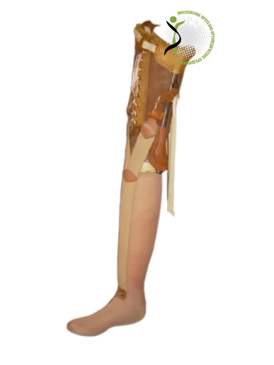 Non-modular Hip Prosthesis PN6-M-N for Individuals with Amputation