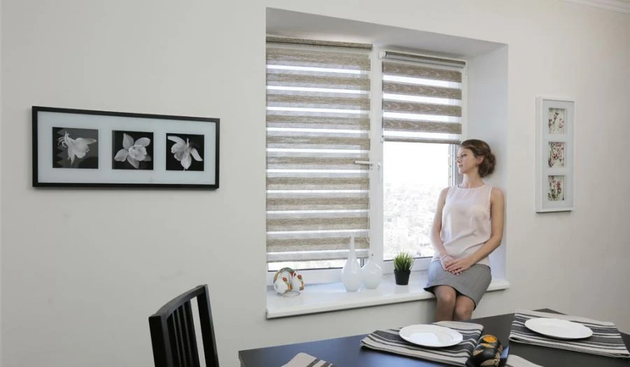 INTEGRA SLIM DUO Roll-Up Shades 130x65cm