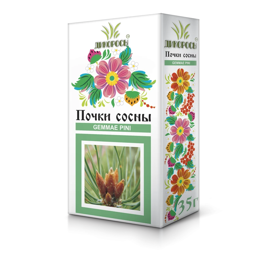 Common Pine Buds for Health Benefits