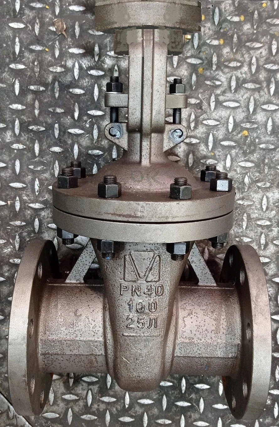 صمام بوابة فولاذي مع عمود مرتفع للضغط PN 4.0 MPa DN 100