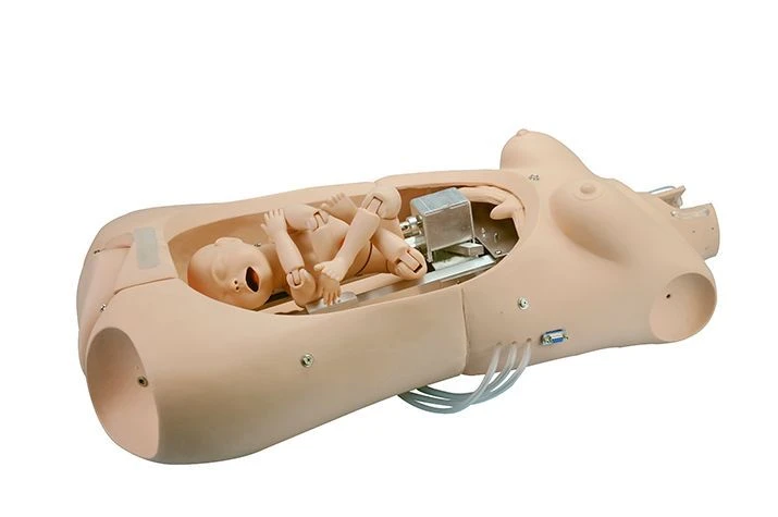 نموذج محاكاة الولادة للتدريب في طب التوليد GP6643