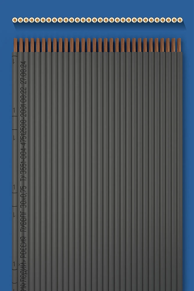سلك تركيب مسطح مع عزل مزدوج PUVVPG 30x0.75