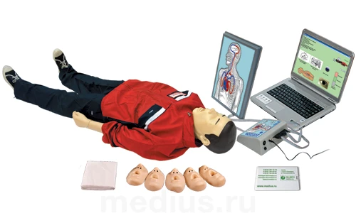 Adult and Child Cardiopulmonary and Brain Resuscitation Trainer T28K Maxim III-01 VR