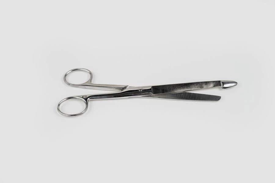 Straight Anatomical Intestinal Scissors, 210 mm, VZ-N-1