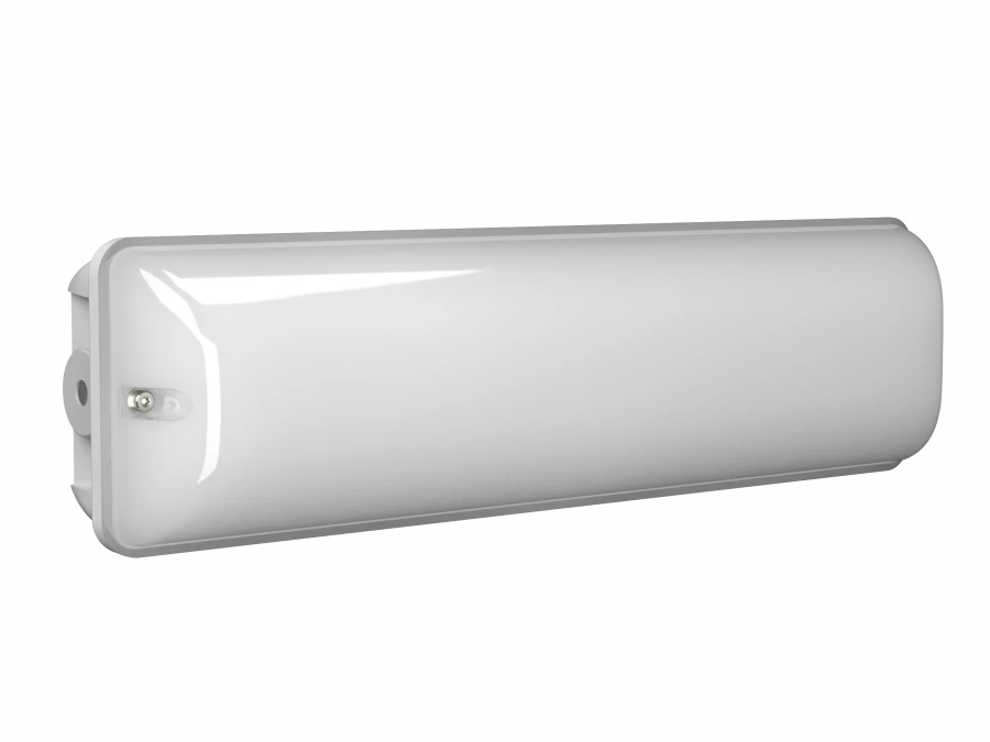 ضوء الطوارئ للإخلاء BS-METEOR-53-L1-INEXI2