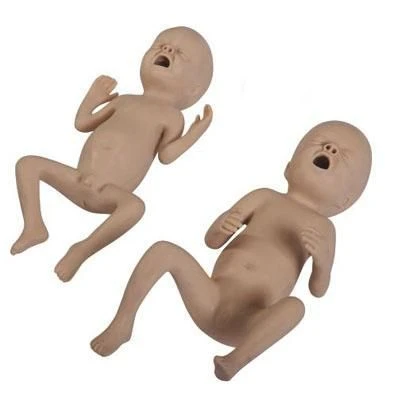 نموذج حديثي الولادة 30 أسبوع T331B