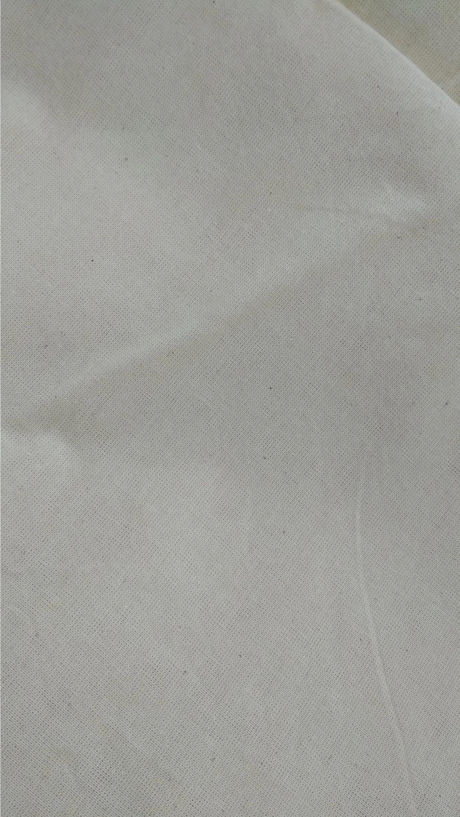 Raw Cotton Fabric Biaz Art. 262/138, 100% Cotton, 165 cm Wide