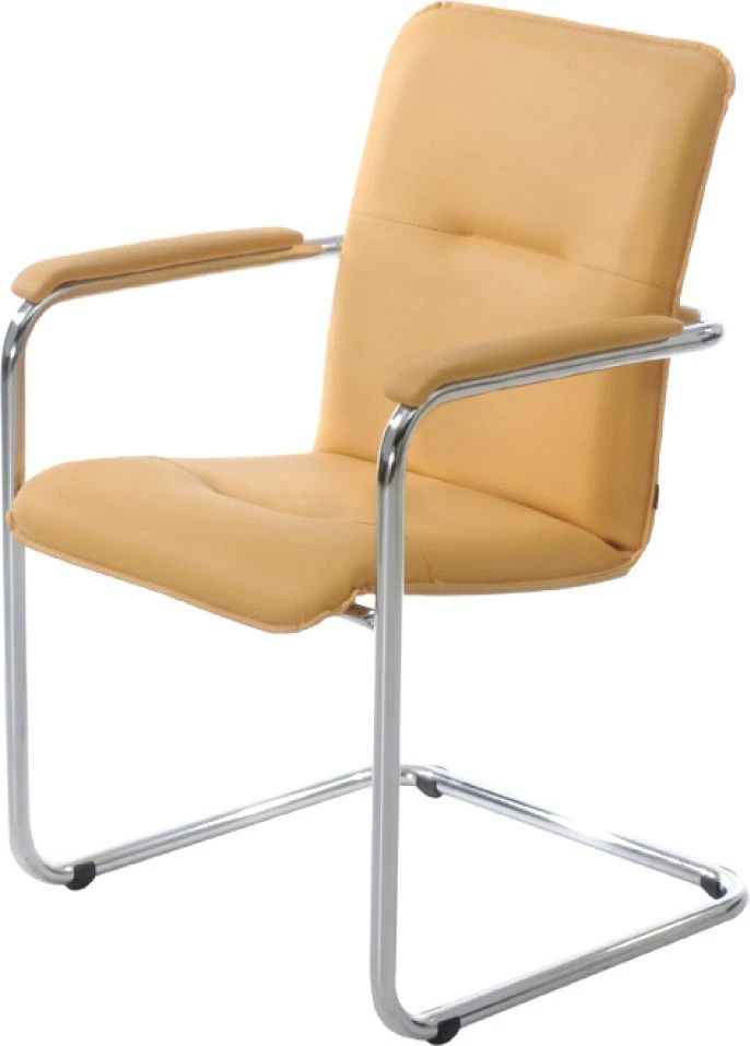 Comfortable Sofia Chair for Home and Office Use