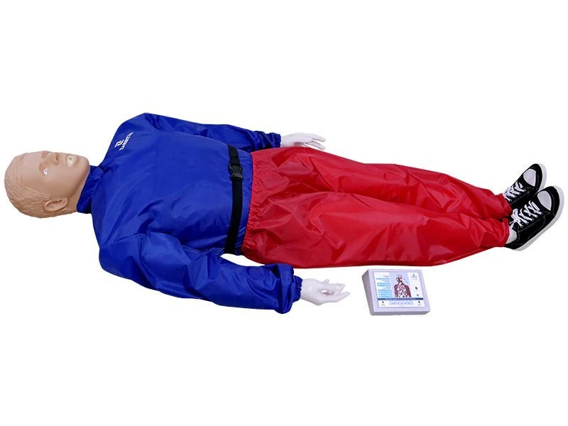 دمية تدريب متقدمة لإنعاش القلب والتنفس مع شاشة ذكية، CPR2300S