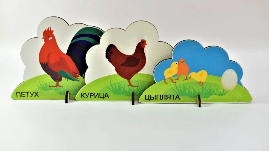 مجموعة تماثيل الطيور المنزلية (10-15 سم)