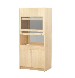 Demonstration Fume Hood, Model B49