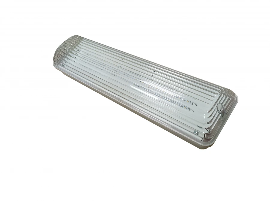ضوء سقفي LED للاستخدام الصناعي - ЭГ-ДПП-11-10-001-У2-65-ПДП