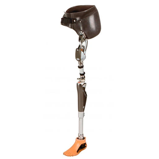 Modular Prosthesis for Hip Disarticulation
