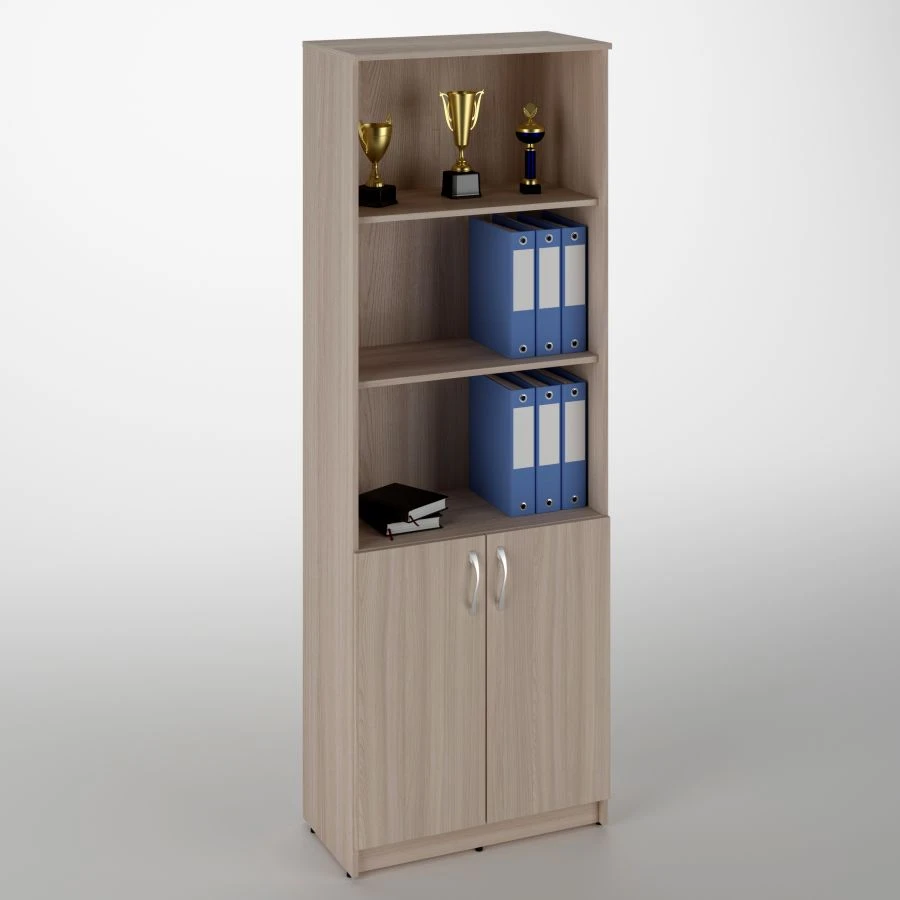 Combined Office Cabinet with Two Doors