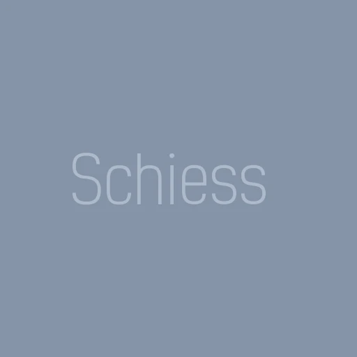 تصنيع منصات، ناقلات شريحة، وخزائن كهربائية من Schiess
