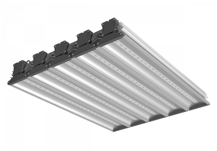 LED Pendant Light LPH-905