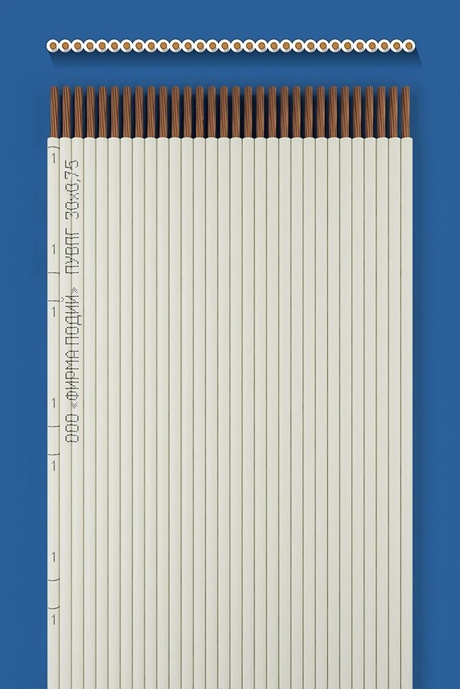 سلك التركيب المسطح PUWPG 30x0.75