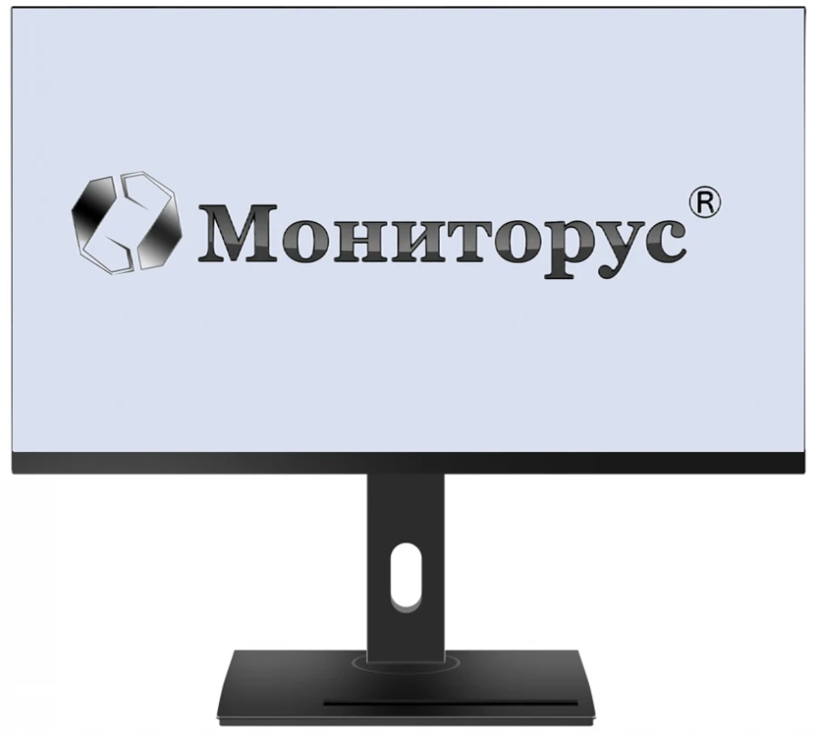 شاشة LCD مونيتوروس 2410/DP HS2410