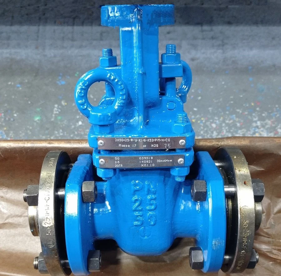 Steel Wedge Gate Valve with Extension Spindle for Actuator PN 2.5 MPa DN 50