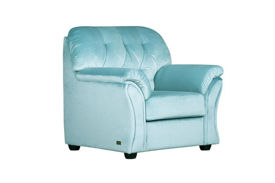 Vancouver Modern Compact Armchair