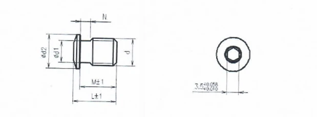 Titanium Alloy Screw Plug M10 20mm for Internal Orthopedic Fixation
