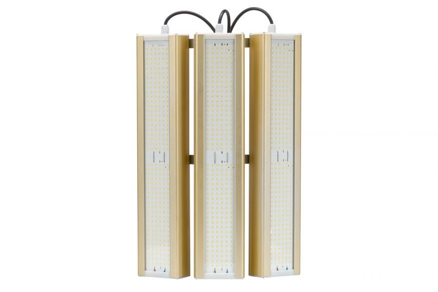 LED Module Gold Light Fixture KM2-3, 5000K, 288W