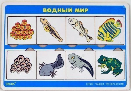 لعبة سلسلة "عجائب التحولات: عالم المياه