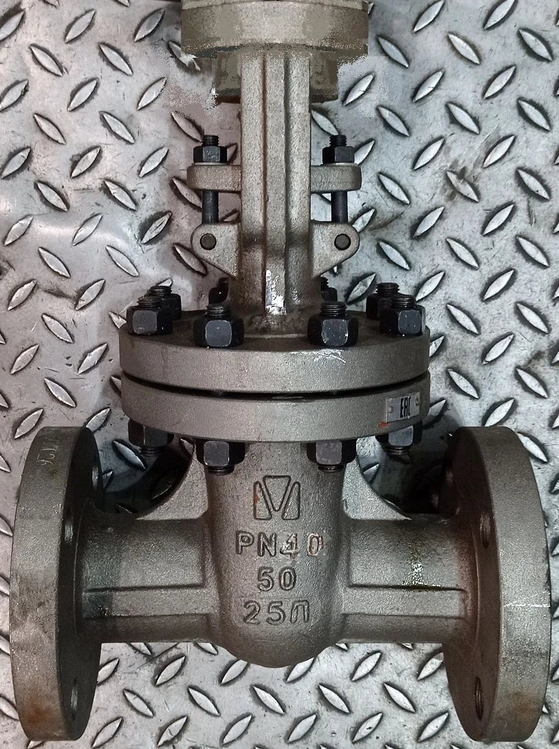 Steel Wedge Gate Valve with Rising Stem for PN 4.0 MPa DN 50