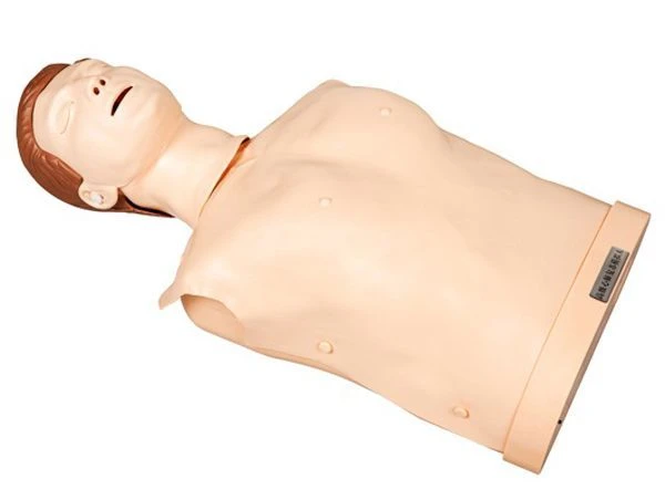 دمية تدريب إنعاش القلب الرئوي (الجزء العلوي) - ROST-CPR190