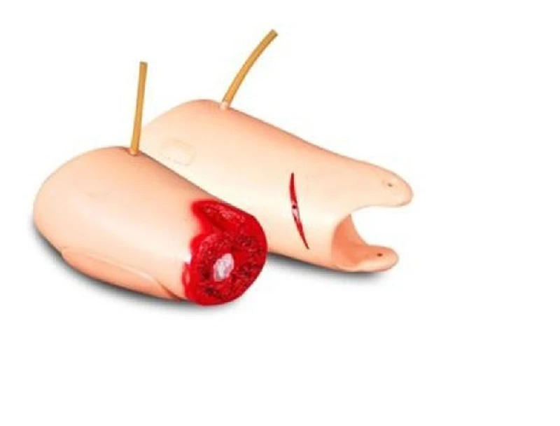 Model for Stopping Bleeding from the Femoral Artery, G105-1