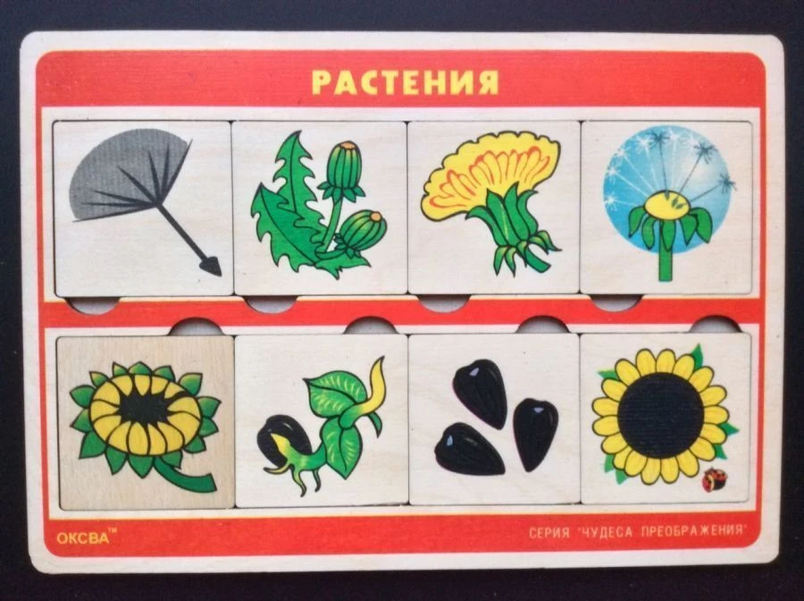 لعبة "عجائب التحولات" (النباتات)