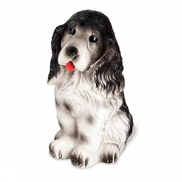 Charlie Spaniel - Playful and Gentle Companion Dog