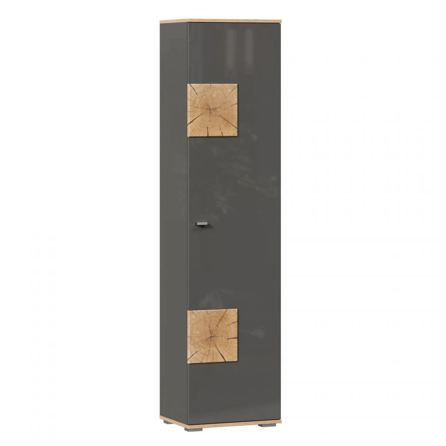 Single Door Cabinet Fiji LD.659160.000 (Golden Oak/Anthracite)