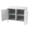 Medical Laboratory Cabinet Model 1, Version 1 GIKS.942810.105 TU