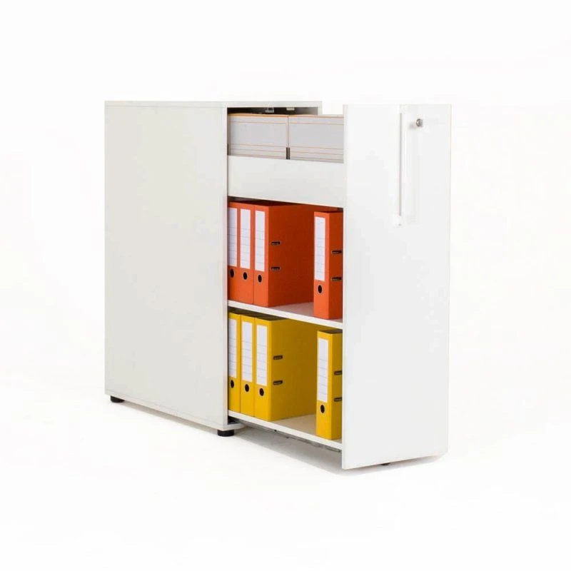 Stylish Office and Educational Furniture Cabinet - Home Evolution 040