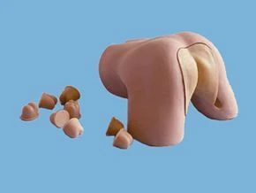 نموذج فحص البروستاتا لنظام التكاثر الذكري - CS6252