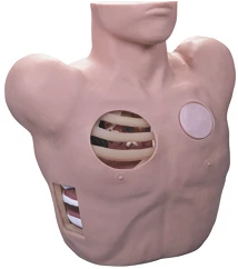 Pleural Cavity Drainage Practice Model, Art. L66