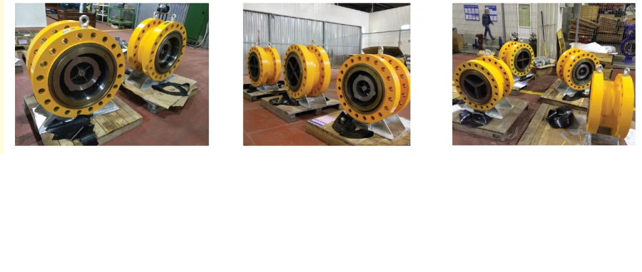 Symmetrical Check Valves Series EO: DN 25-900, PN 1.6-25.0 MPa