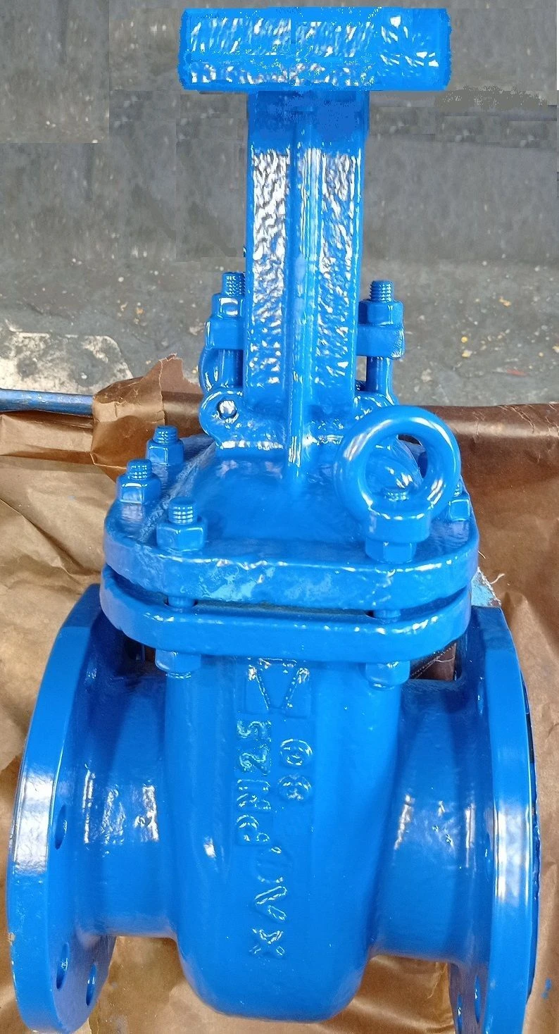 Steel Wedge Gate Valve with Extendable Spindle for Actuator PN 2.5 MPa DN 80