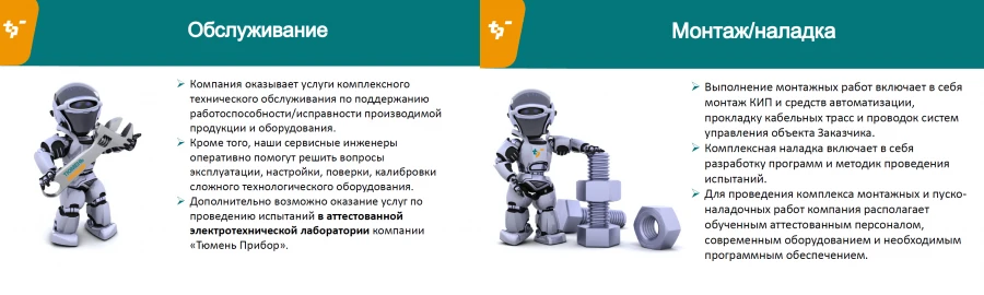 Automation System Support and Maintenance Services (per person/day)