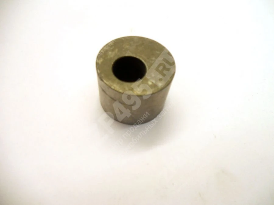 Eccentric Drive for Gasoline Pump 4061.1106185