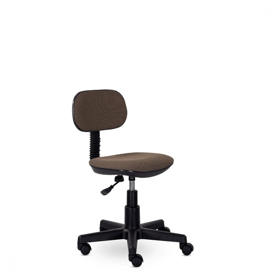 Ergonomic Office Chair for Daily Use