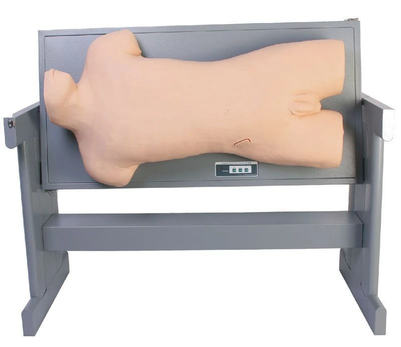 جهاز محاكاة متقدم لمختلف عمليات الوخز، CK810
