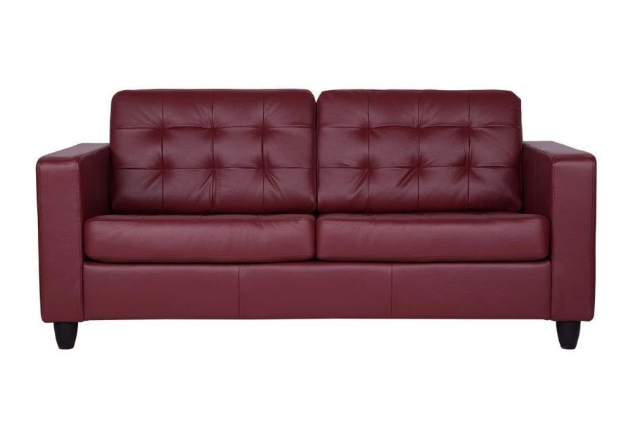 Elegant Camelot 2-Seater Sofa for Modern Living Spaces